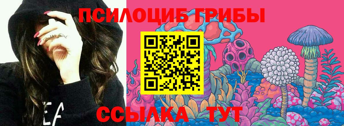 Борисоглебск  Галлюциногенные грибы Magic Shrooms  Вход с VPN  Псилоцибиновые грибы мицелий 